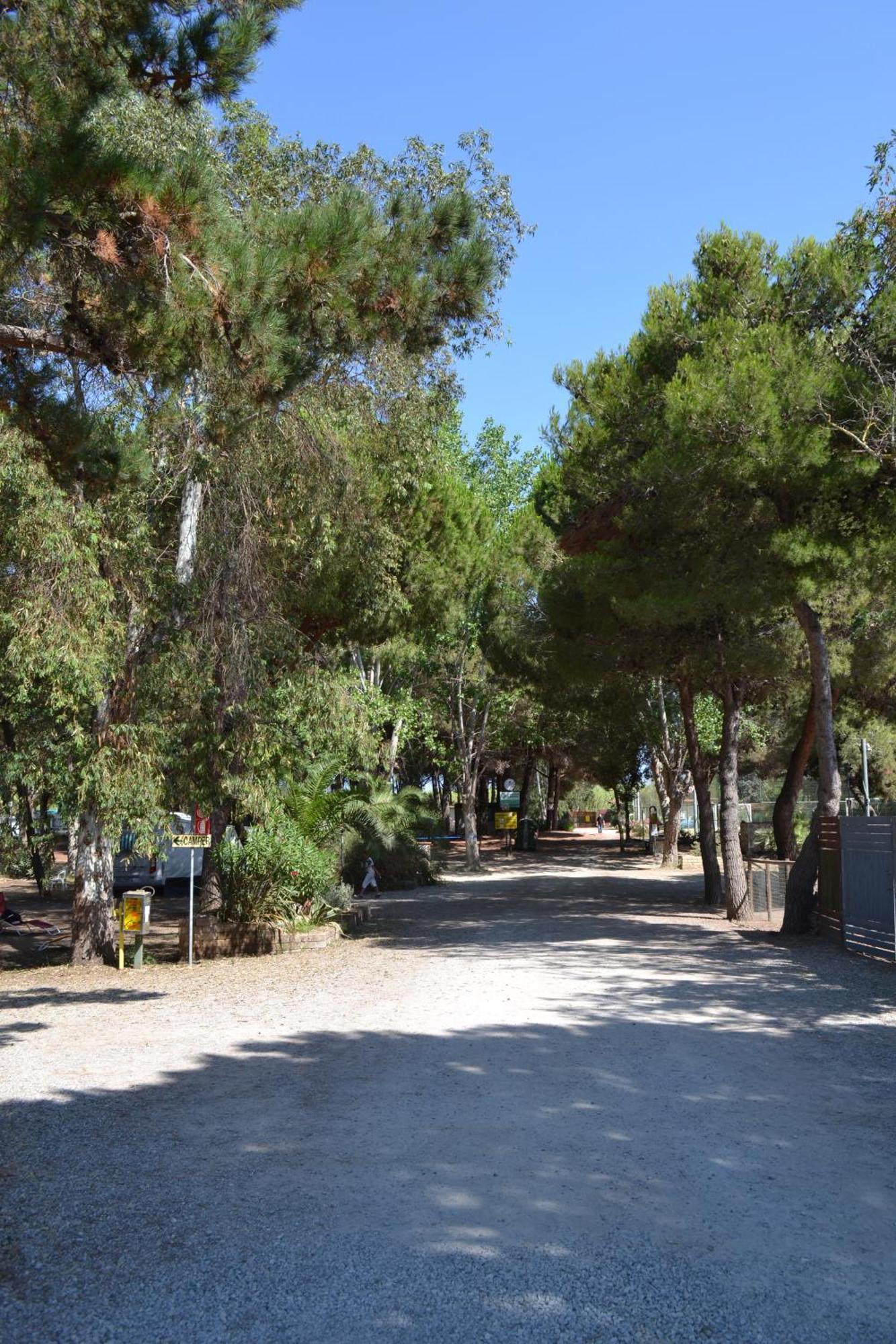 Giannella Camping Orbetello Exterior photo